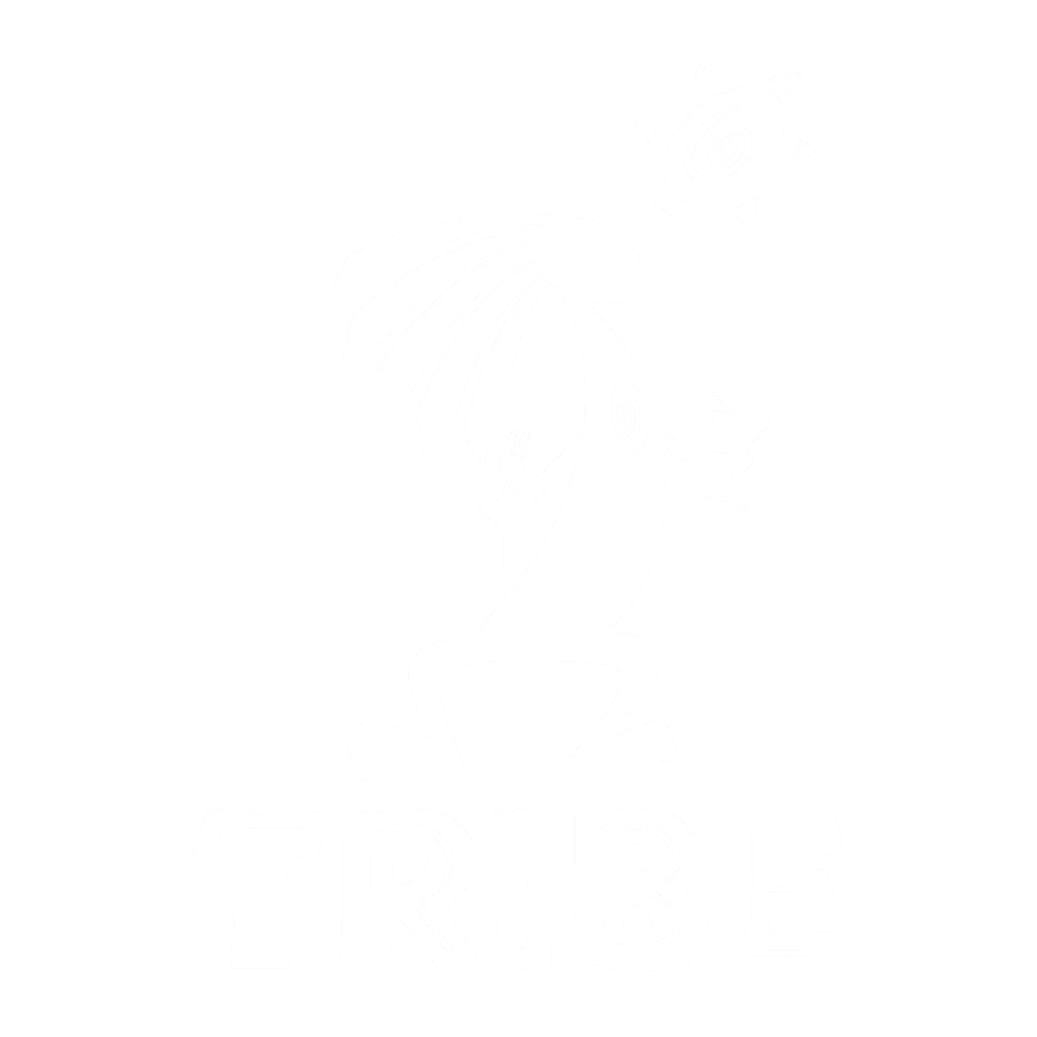 Tribe 
